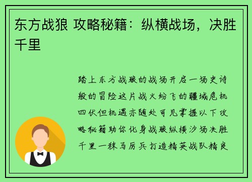 东方战狼 攻略秘籍：纵横战场，决胜千里